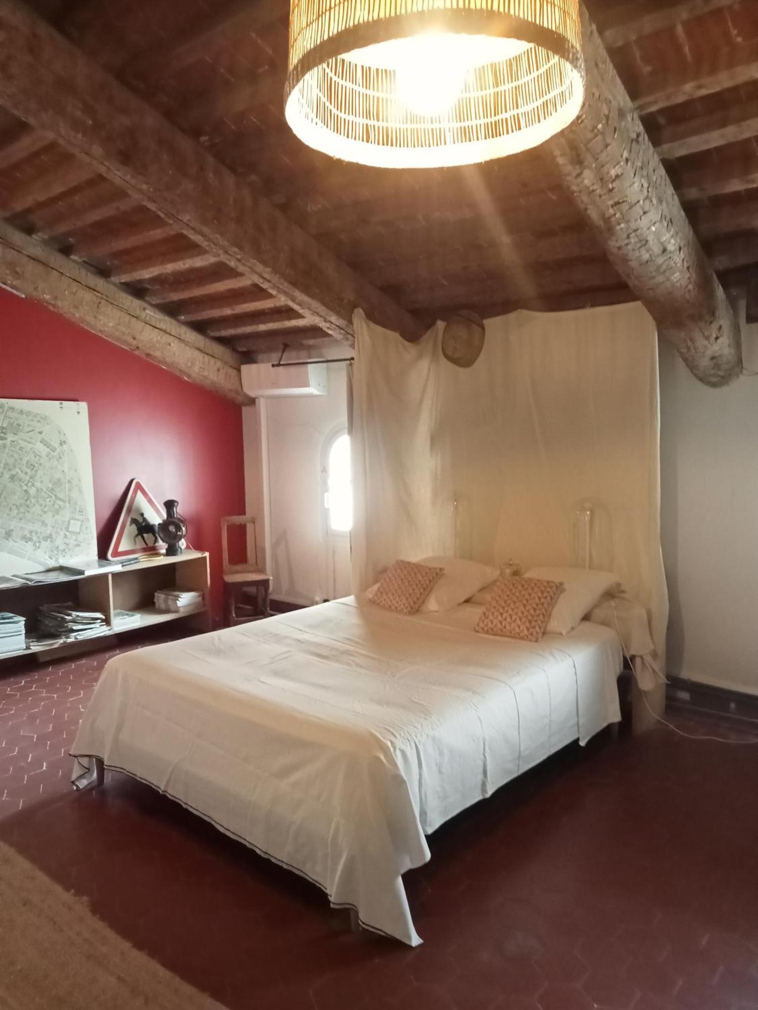 Le Mas Palegry Chambres D'Hotes بيربينيو المظهر الخارجي الصورة